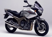 Yamaha YBR 125